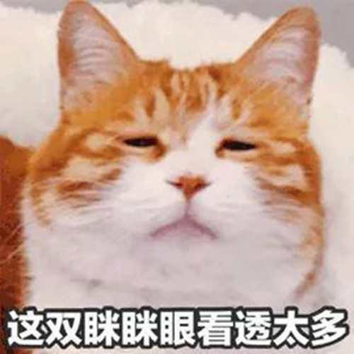 什么牌子卷发棒好用