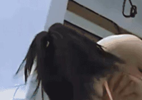 杨幂隆胸是真的吗怎么那么大