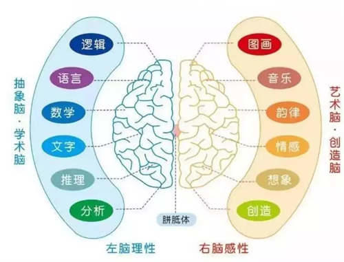 右脑图像记忆法的两个锻炼方法 右脑记忆法