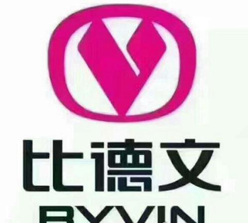 中国十大质量差电动车名单