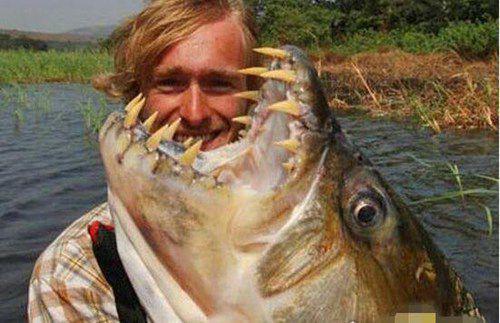 世界十大最恐怖恶魔鱼