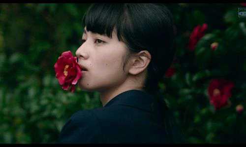 日本青春爱情电影二十部