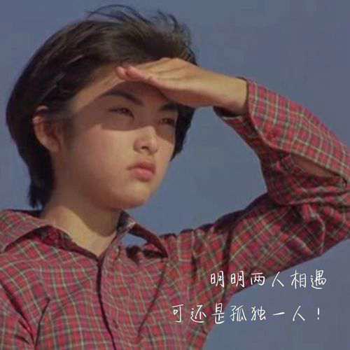 日本青春爱情电影二十部