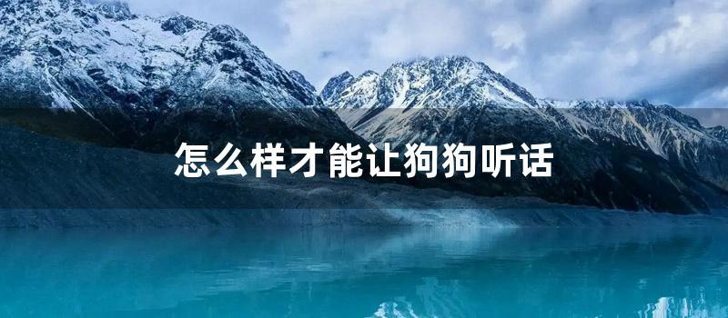 怎么样才能让狗狗听话 (怎么样才能让狗狗上我)