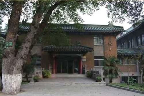 中华龙鸟