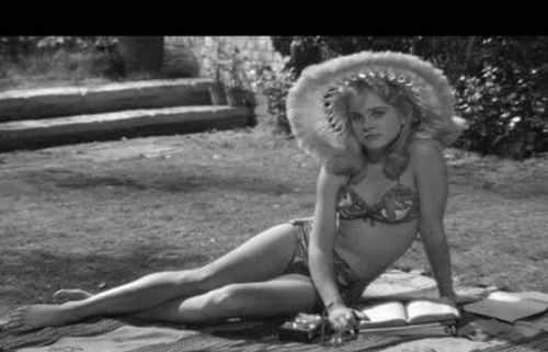 十大网络禁书目录简介