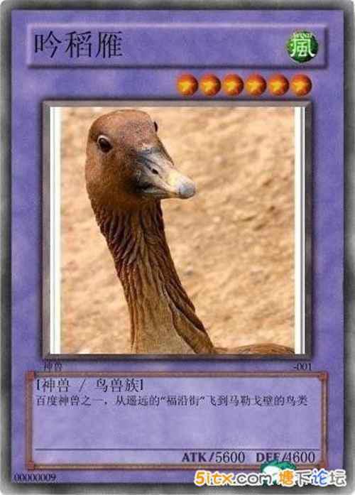 中国网民恶搞的十大神兽盘点