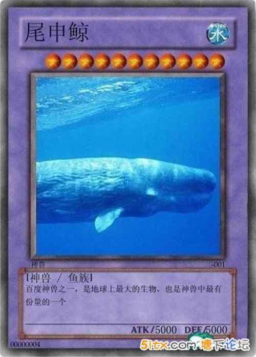 中国网民恶搞的十大神兽盘点