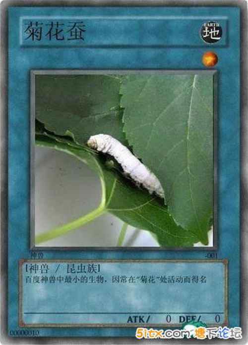 中国网民恶搞的十大神兽盘点