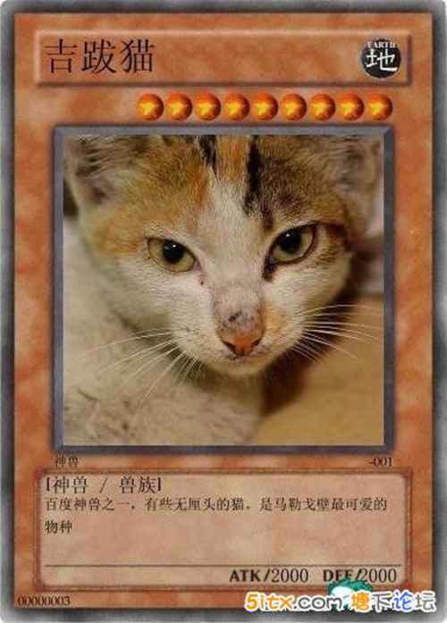 中国网民恶搞的十大神兽盘点