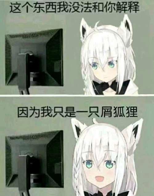 H二次元动漫表情包