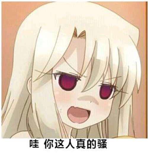 H二次元动漫表情包