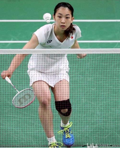 养眼 世界羽坛几大美女 你认识几个