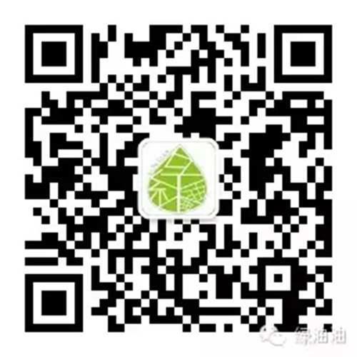 绝版收藏 台湾垦丁最好的9家民宿推荐