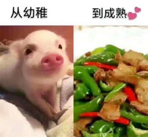 守望先锋安娜个人心得