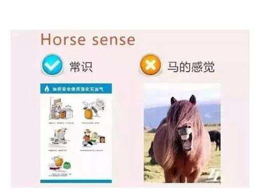 Anappleoflove西红柿 每天学点有用的英语就不会闹笑话了