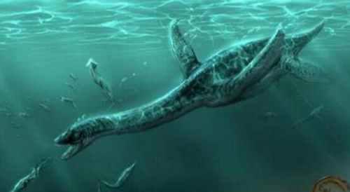 图说世界十大水怪