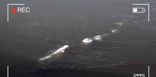 图说世界十大水怪