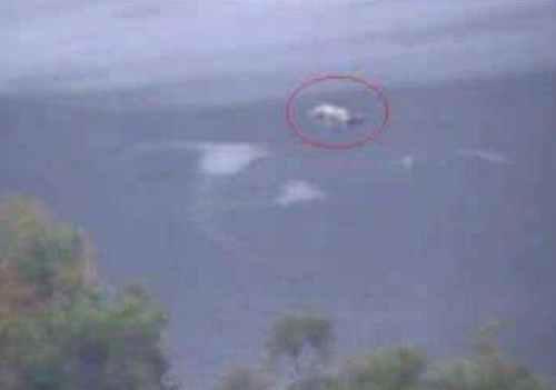 图说世界十大水怪