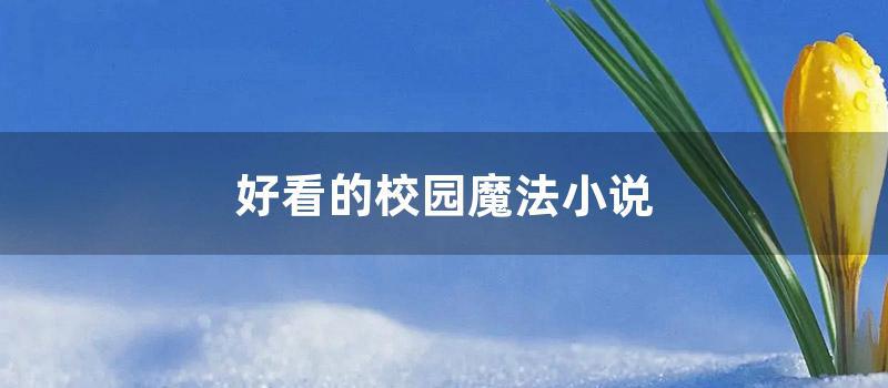 好看的校园魔法小说 (好看的动漫魔法 恋爱 战斗 校园)