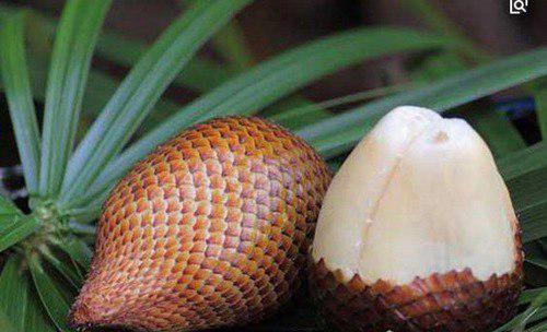 世界上最稀有的十种水果