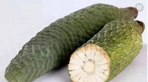 世界上最稀有的十种水果