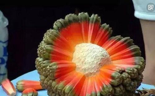 世界上最稀有的十种水果