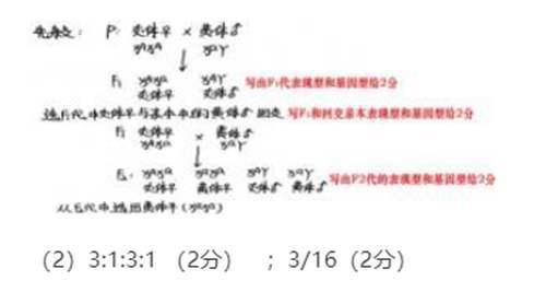 2021全国乙卷高考理综试题含答案同学快来看看啦最新最全呀