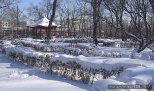 三月下雪的优美诗句