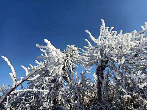 三月下雪的优美诗句