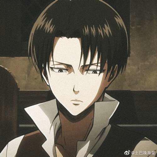 艾伦兵长高质量头像