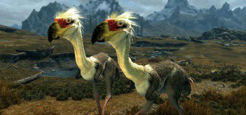 十大最恐怖的鸟已灭绝