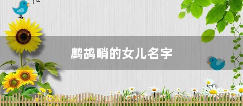 鹧鸪哨的女儿名字 (鹧鸪哨和谁生的女儿)