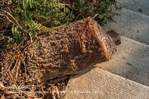 徕卡镜头传奇之一50mmf20RadioactiveLens