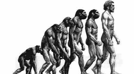 人类起源之谜 人类由什么进化而来