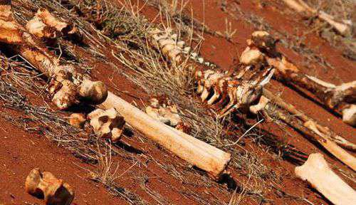 最危险的世界十大禁地