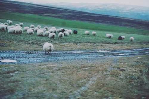 哪些地方适合一个人旅行