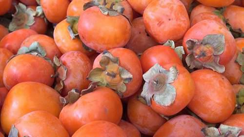 柿子的营养价值和功效