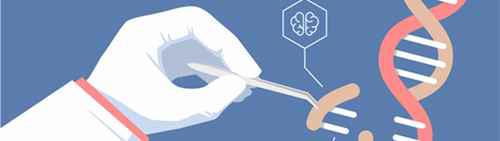 什么是基因编辑婴儿？