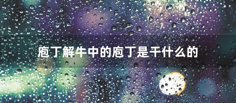 庖丁解牛中的庖丁是干什么的 (庖丁解牛中的庖丁指的是什么)
