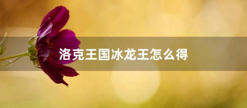 洛克王国冰龙王怎么得 (洛克王国冰龙王怎么得到2021)