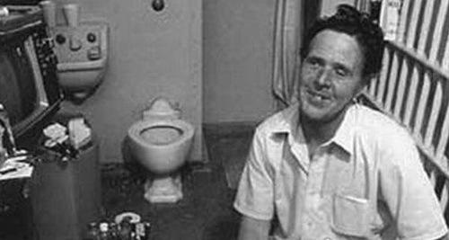 世界上杀人最多的动物前十名