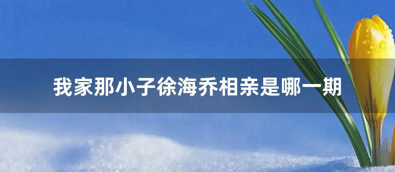 我家那小子徐海乔相亲是哪一期 (我家那小子徐海乔暗恋对象)