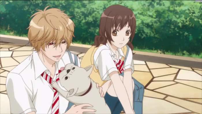 推荐八部很好看的校园恋爱动漫番剧番剧推荐