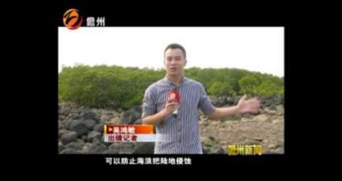 海南省所有广播电视台新闻和资讯类节目的首播时间一览