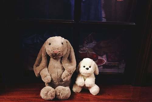 太恐怖了 为什么可爱的兔子总被做成吓人的恐怖片