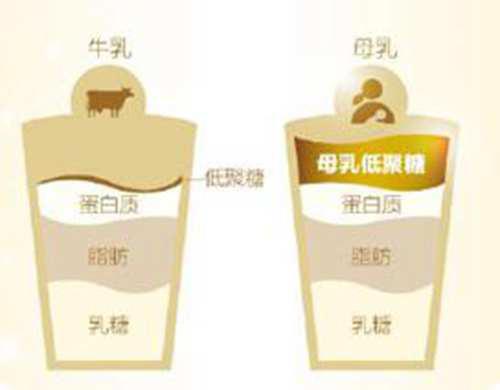 解析奶粉中的HMO是什么