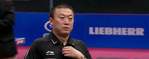 乒乓球运动员马琳职业生涯简析