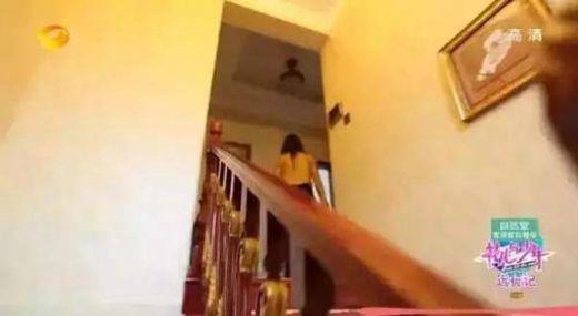 郑爽爸爸是干什么的