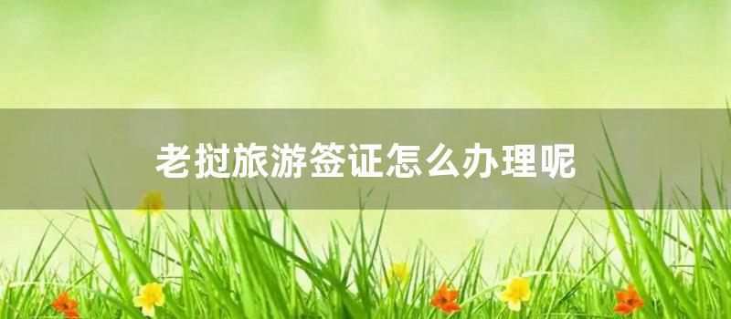 老挝旅游签证怎么办理呢 (老挝人到中国旅游签证)